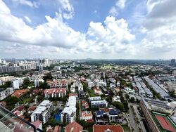Newton Suites (D11), Apartment #592457921